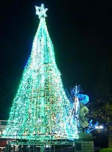 イルミ２G1010679