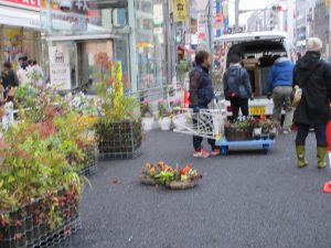 040)IMG_0489プランター